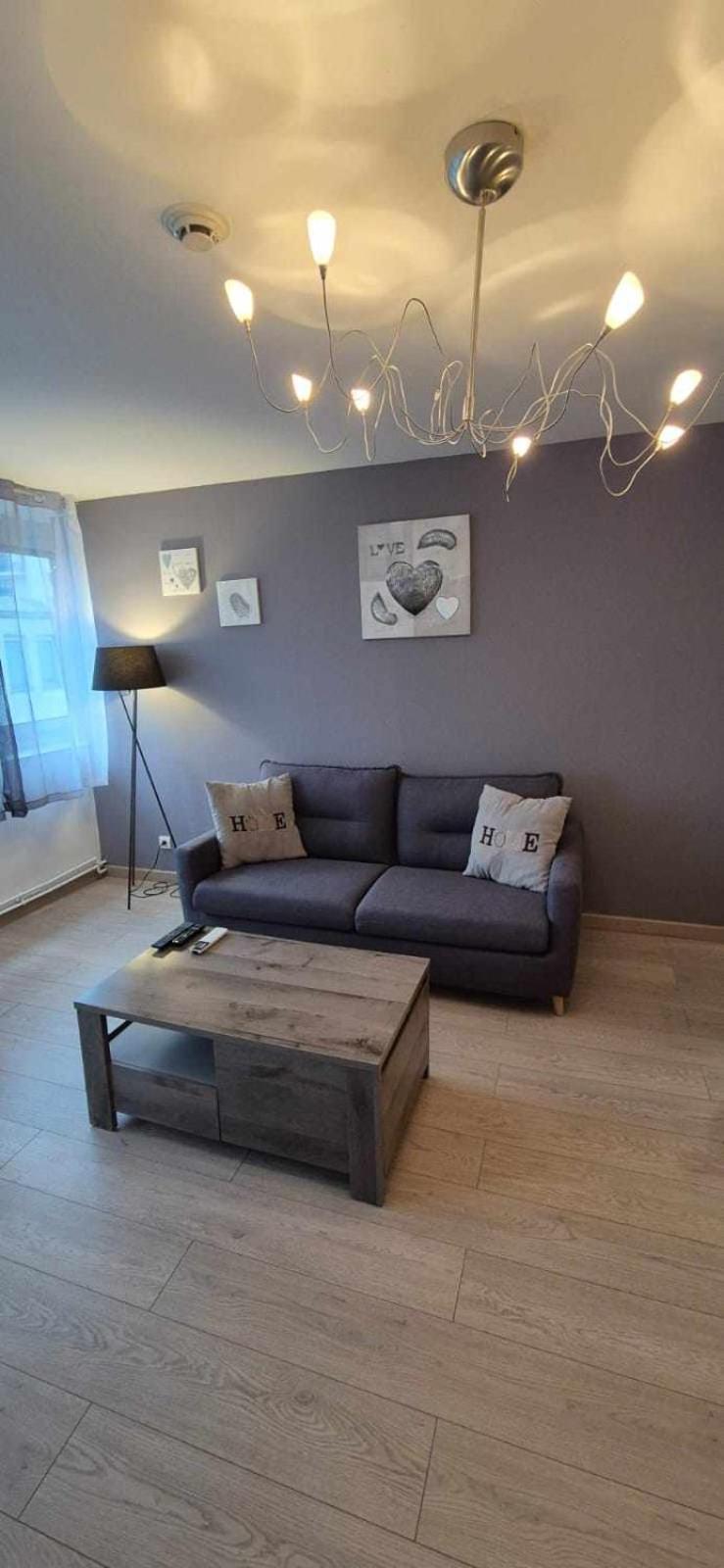 Nouveau !! Appartement Confortable Totalement Renove Avec Parking Gratuit - Hypercentre De Nancy Exteriör bild