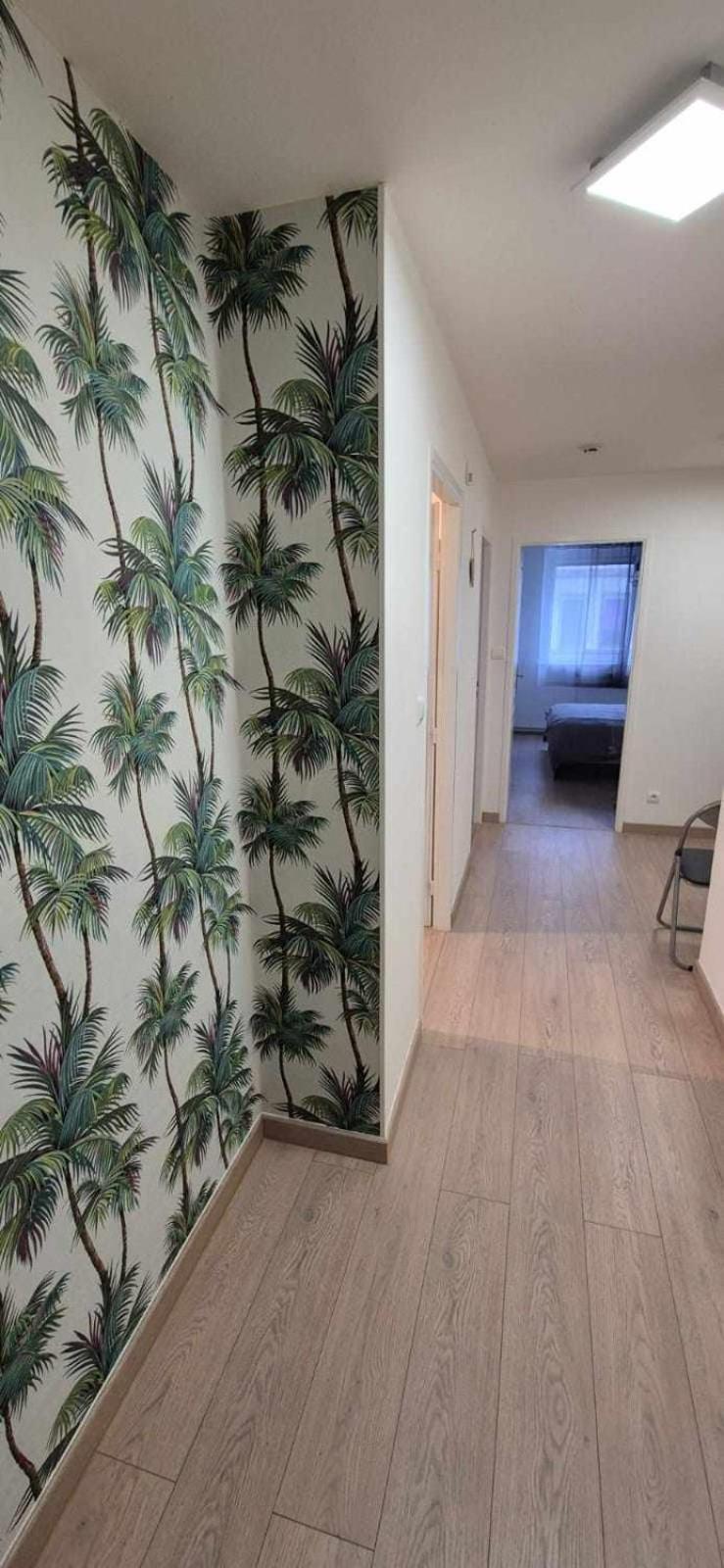 Nouveau !! Appartement Confortable Totalement Renove Avec Parking Gratuit - Hypercentre De Nancy Exteriör bild